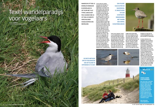 Texel wandelparadijs voor vogelaars